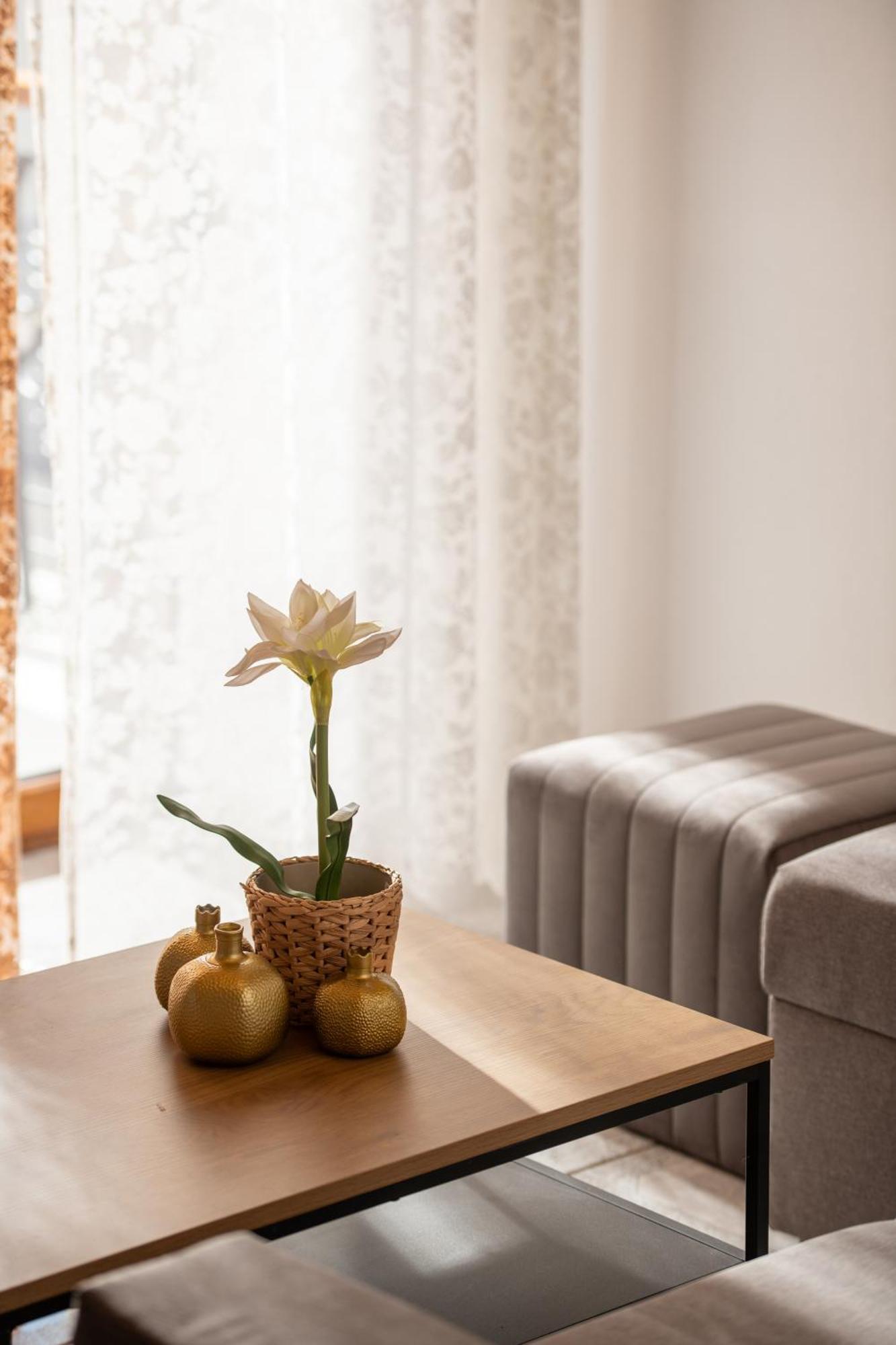 Vila House Draganis Sykia Chalkidikis Exteriér fotografie