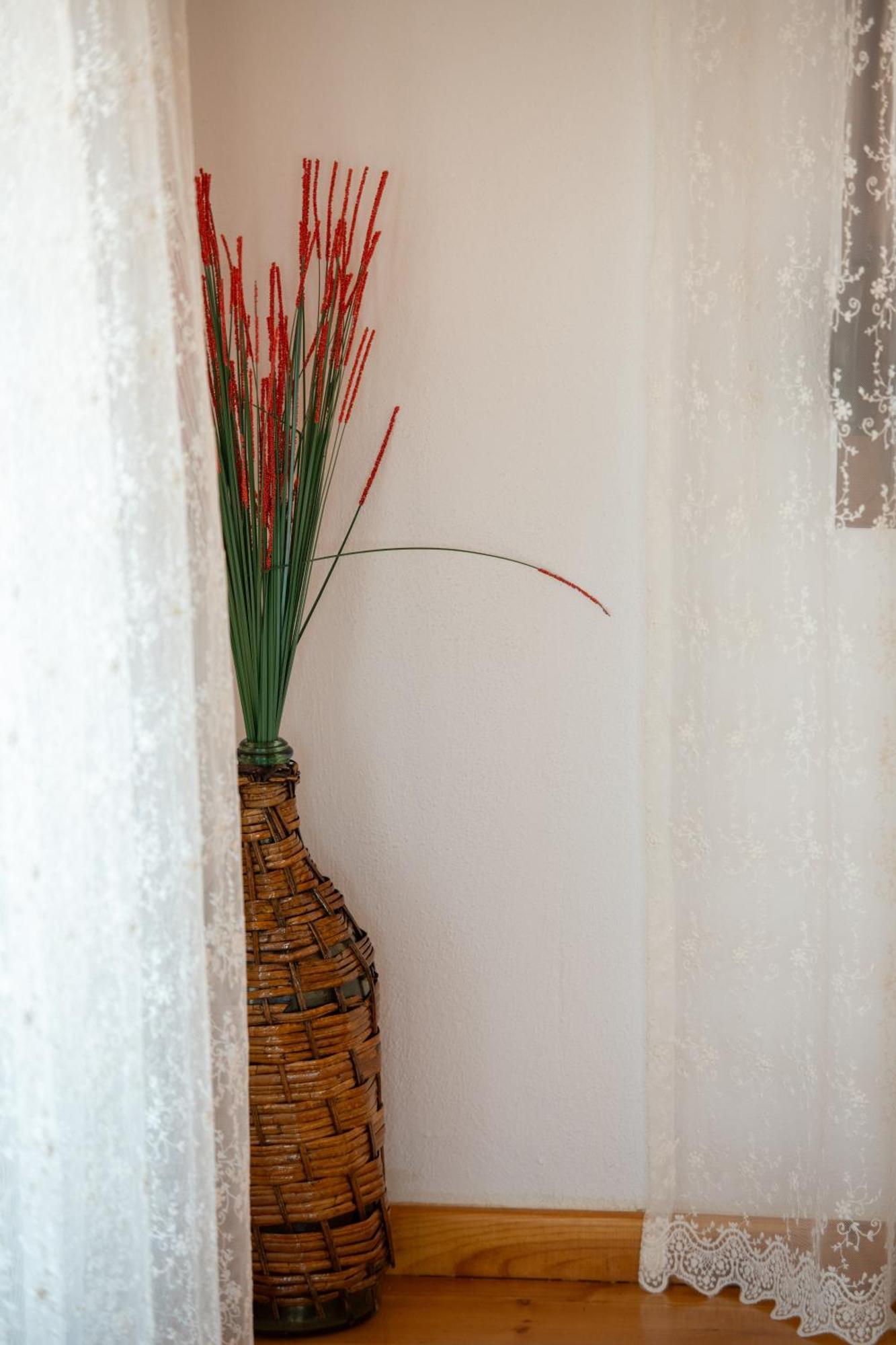 Vila House Draganis Sykia Chalkidikis Exteriér fotografie
